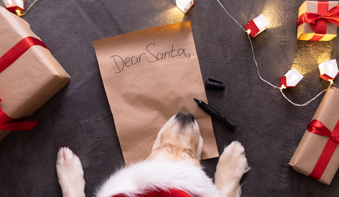 Holiday Gifts for Dogs: Finding the Perfect Presents for Your Furry Friend