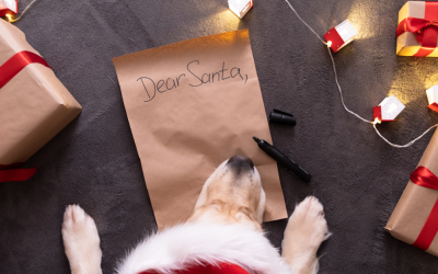 Holiday Gifts for Dogs: Finding the Perfect Presents for Your Furry Friend