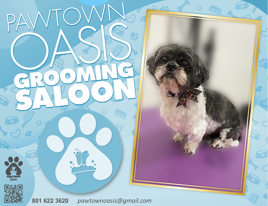 Pawtown-Oasis-Grooming-Saloon