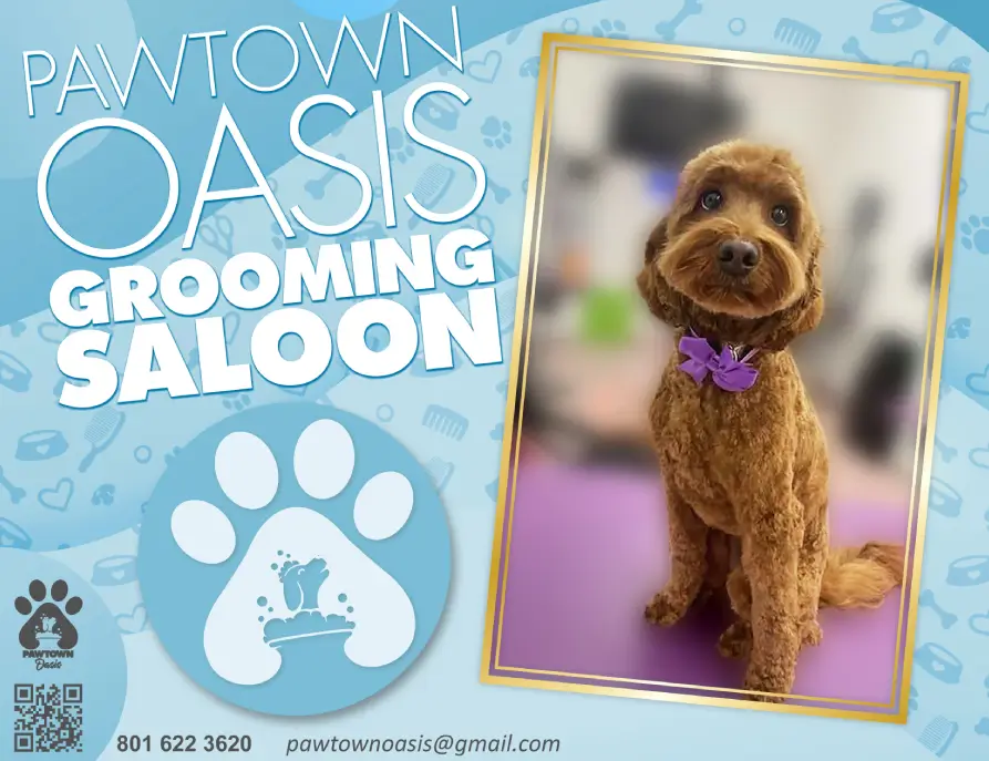 Pawtown-Oasis-Grooming-Saloon-Brown