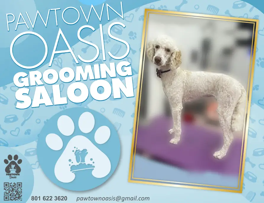 Pawtown-Oasis-Grooming-Saloon-White